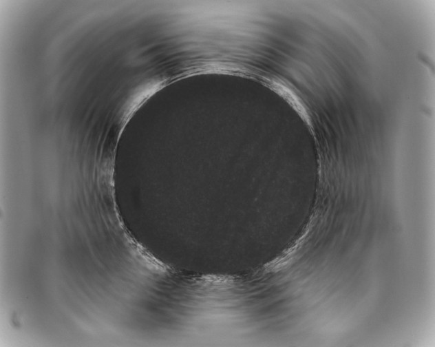 X0000096130954200802081322
