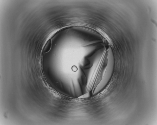 X0000096130956200802081322