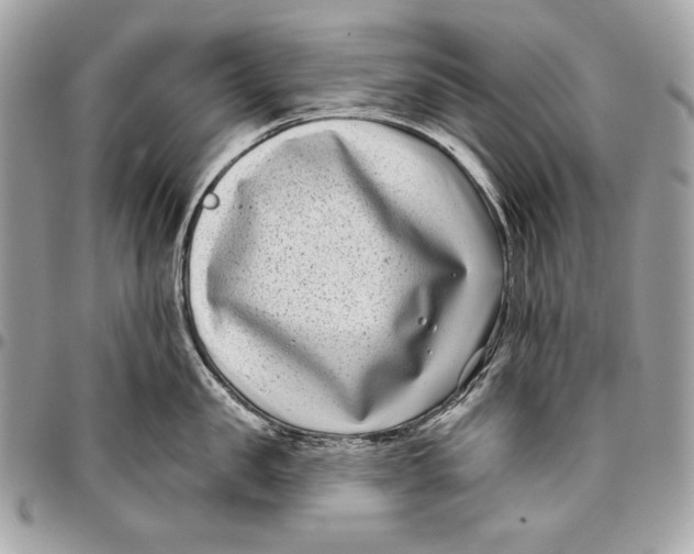 X0000096130957200802081322