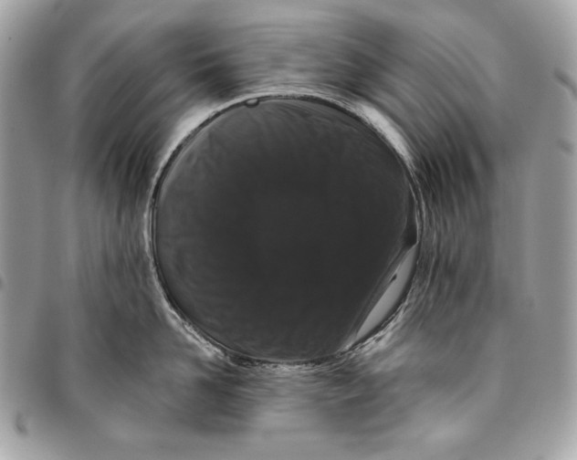 X0000096130958200802081322