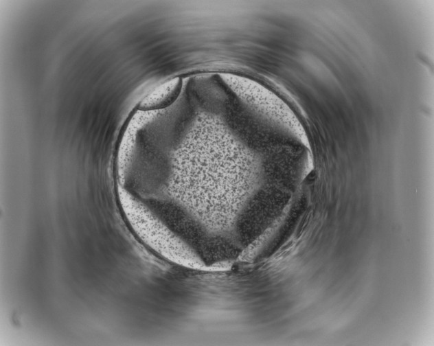 X0000096130959200802081322