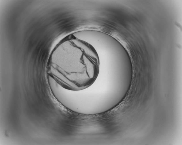 X0000096130960200802081322