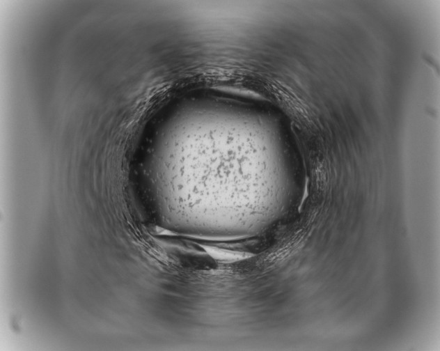 X0000096130961200802081322