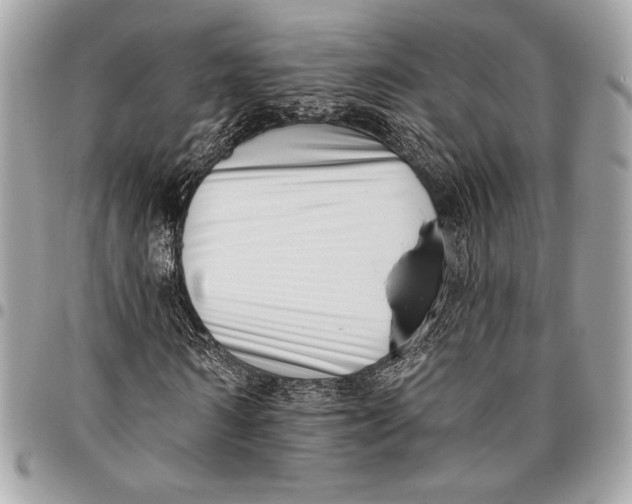X0000096130962200802081322