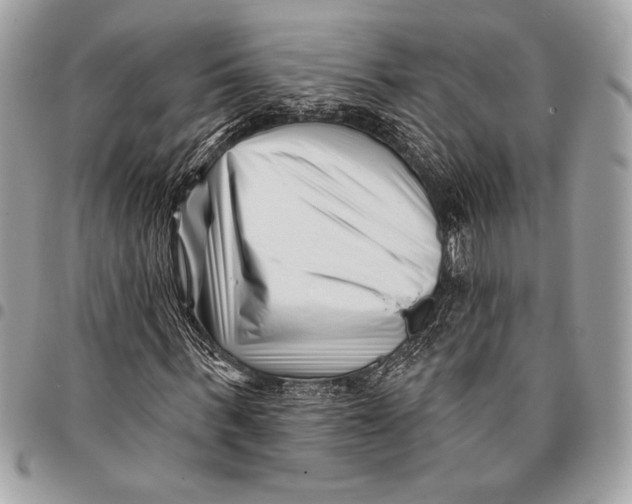 X0000096130963200802081321