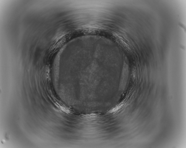 X0000096130964200802081321