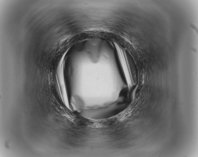 X0000096130965200802081321