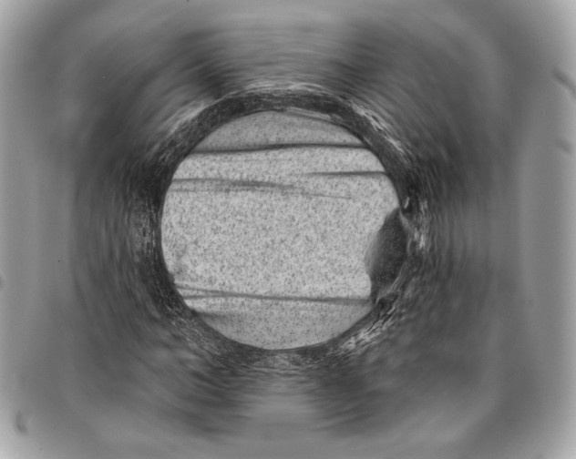 X0000096130966200802081321