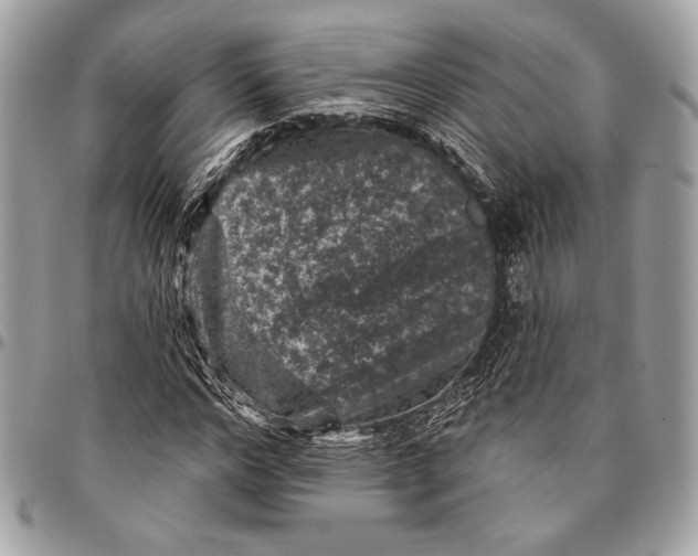 X0000096130968200802081321