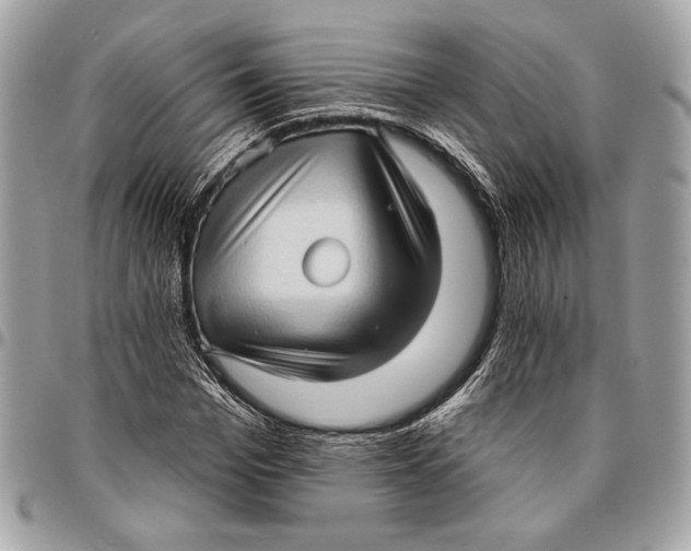 X0000096130969200802081321