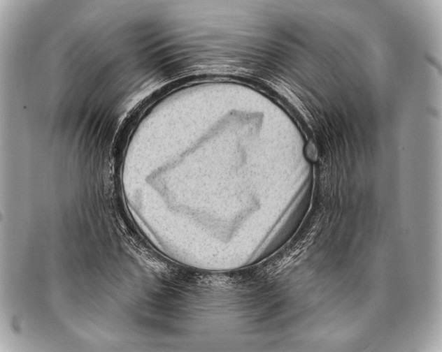 X0000096130971200802081321