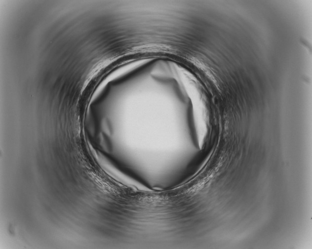 X0000096130973200802081321