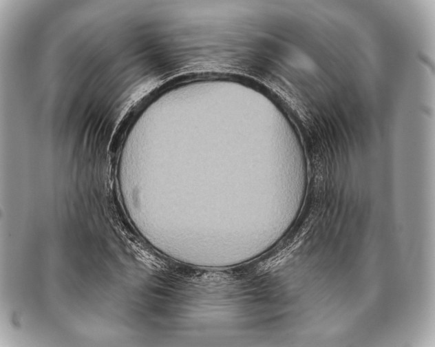 X0000096130974200802081321