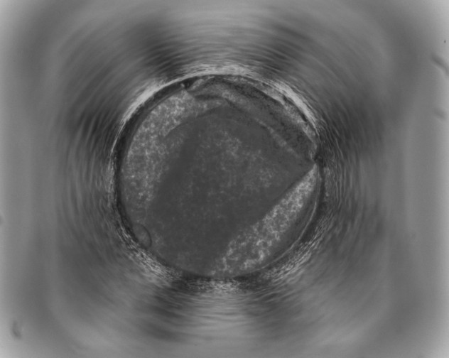 X0000096130975200802081321