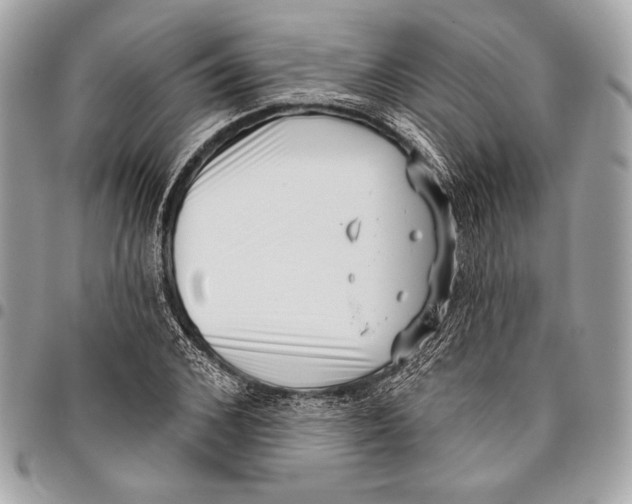 X0000096130976200802081321