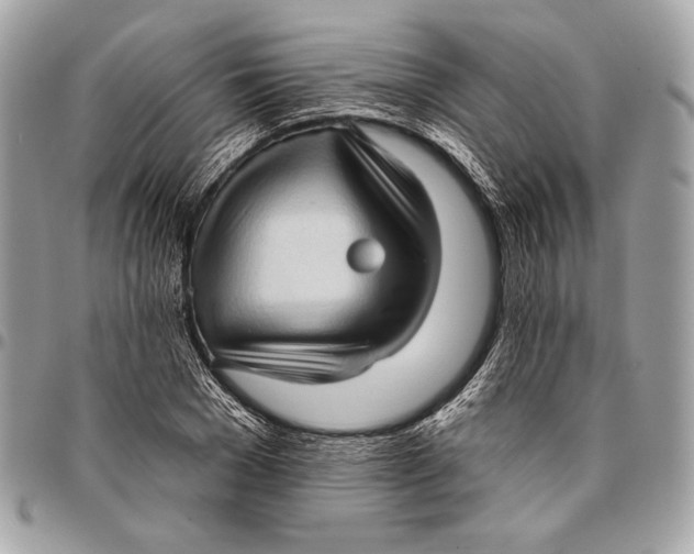 X0000096130977200802081321