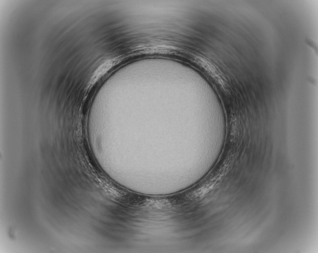 X0000096130978200802081321