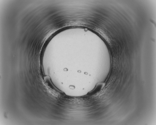 X0000096130980200802081321