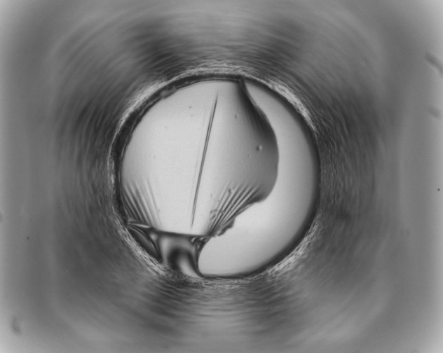 X0000096130981200802081321