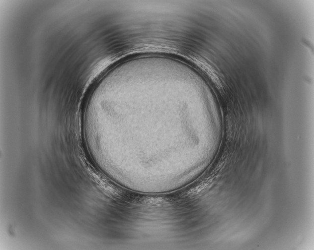 X0000096130982200802081321