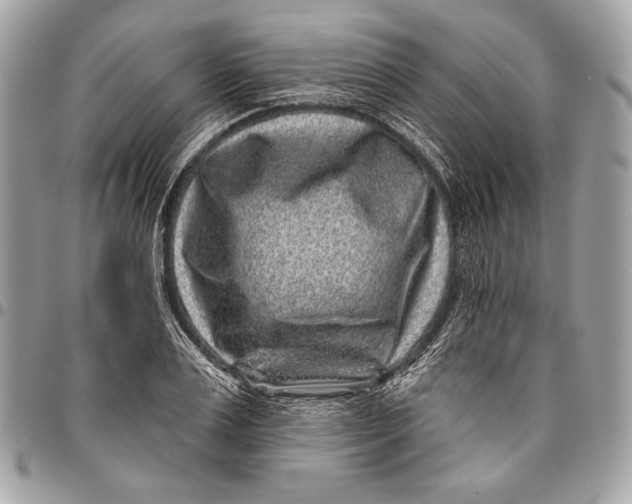 X0000096130983200802081321
