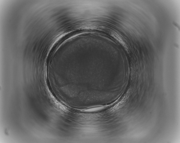 X0000096130984200802081321