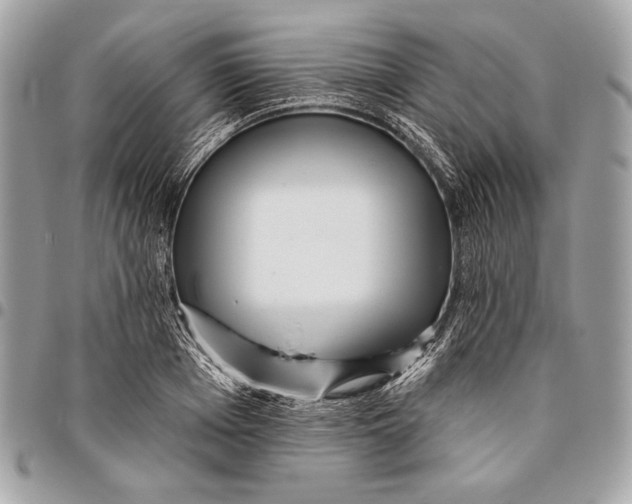 X0000096130985200802081321
