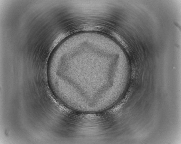 X0000096130986200802081321