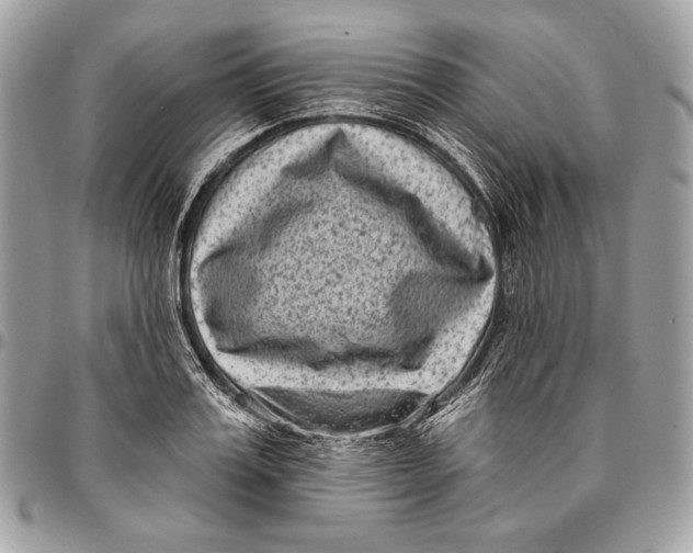 X0000096130987200802081321