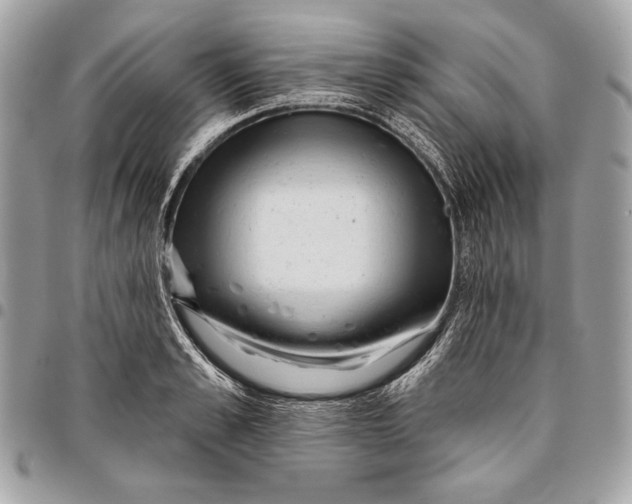 X0000096130989200802081321