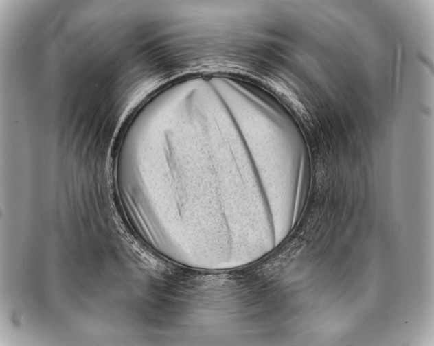 X0000096130990200802081321