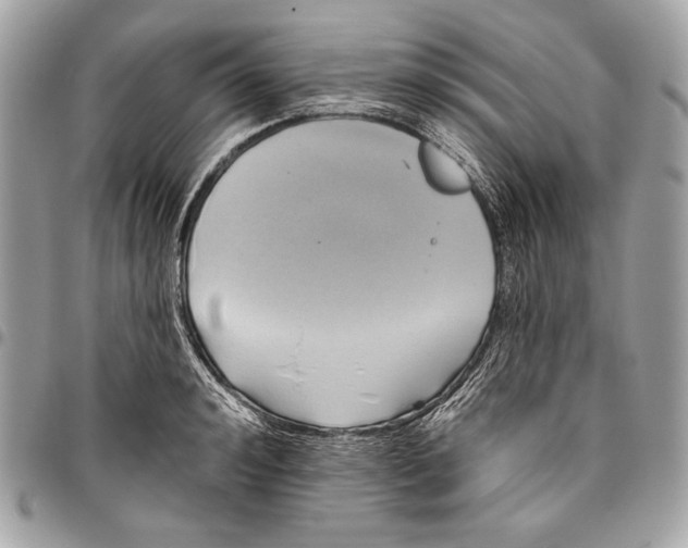 X0000096130992200802081321