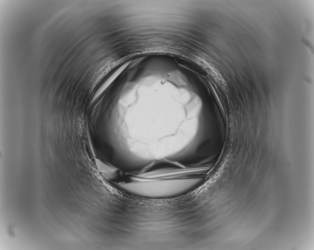 X0000096130993200802081321