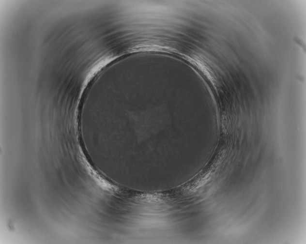 X0000096130995200802081321