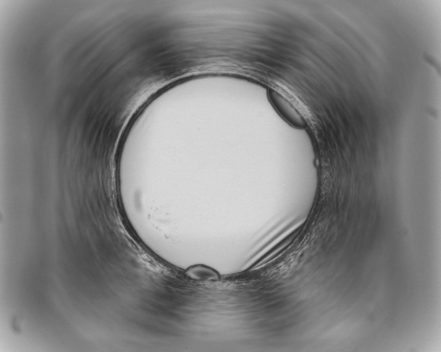 X0000096130996200802081321