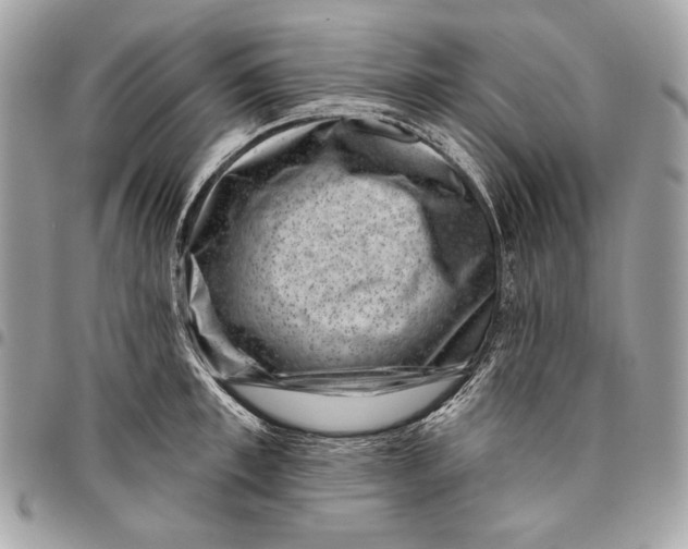 X0000096130997200802081321