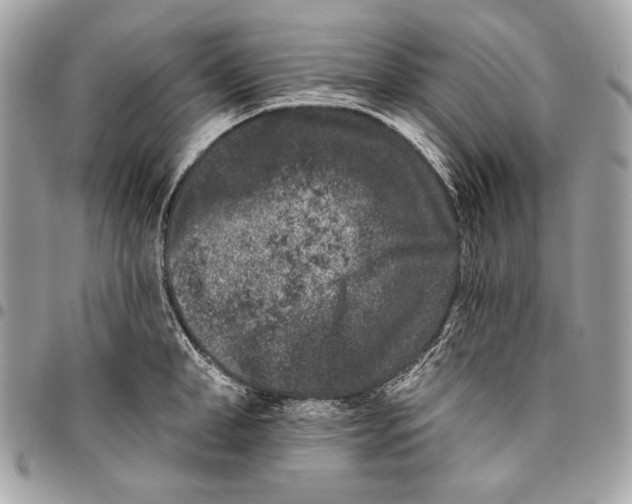 X0000096130998200802081321