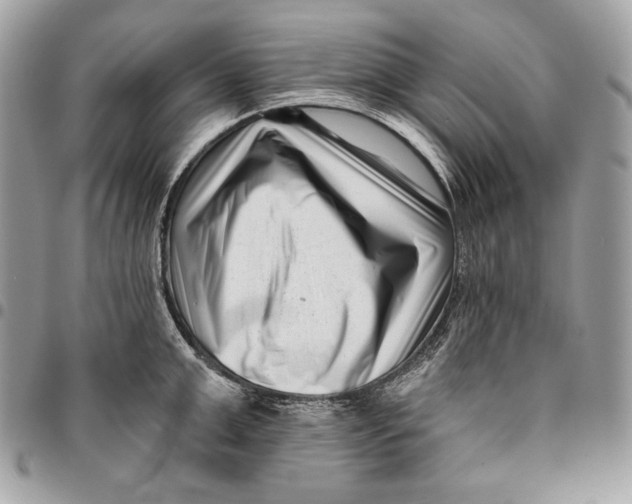 X0000096130999200802081321