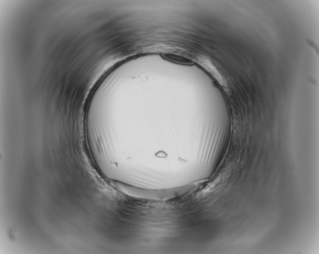 X0000096131000200802081321