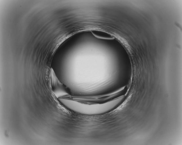 X0000096131001200802081321