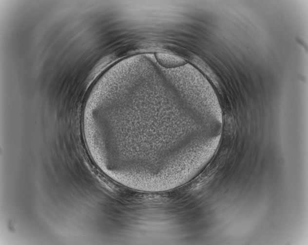 X0000096131002200802081321