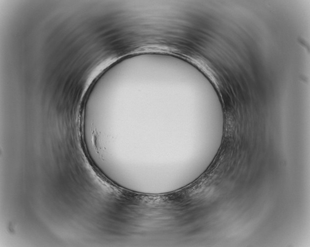 X0000096131003200802081321