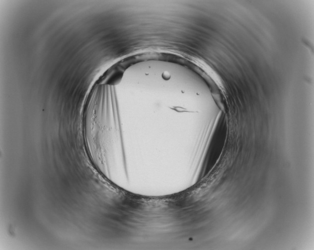 X0000096131004200802081321