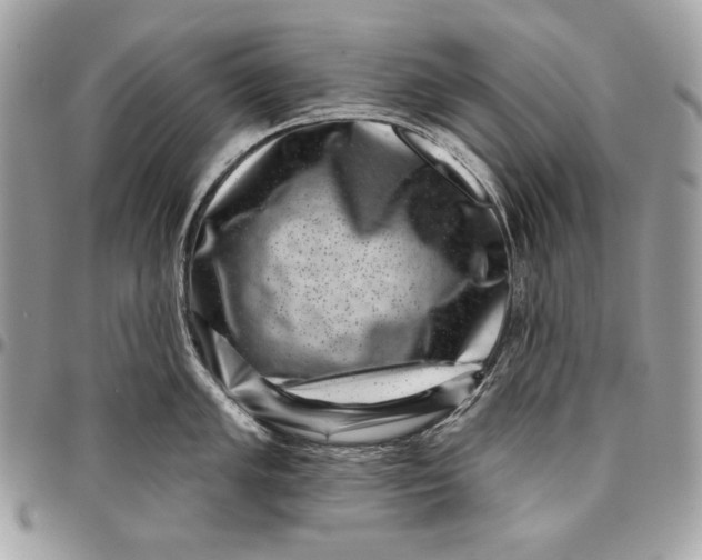 X0000096131005200802081321