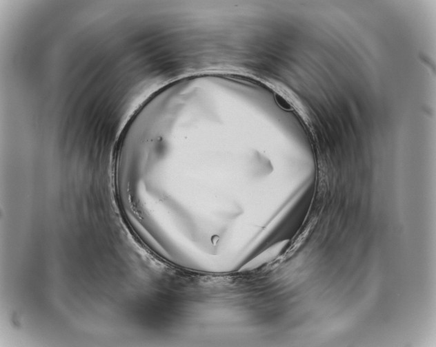 X0000096131006200802081321