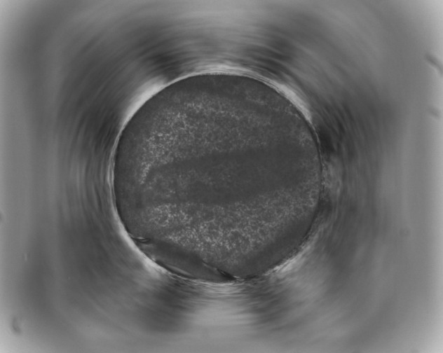 X0000096131007200802081321