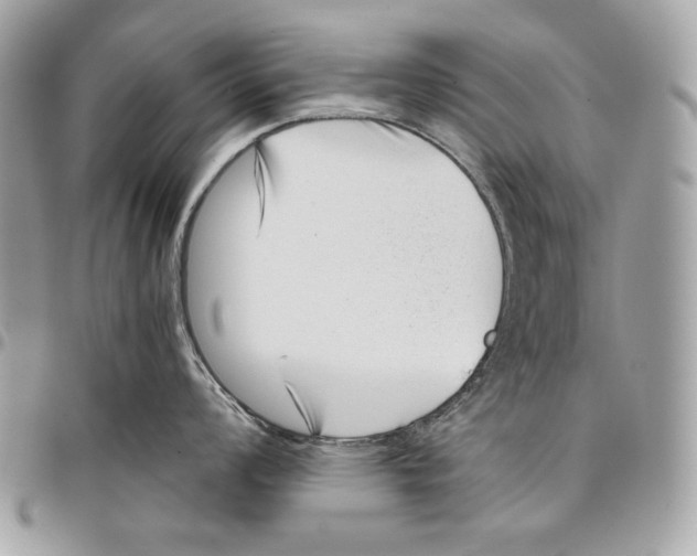 X0000096131008200802081321