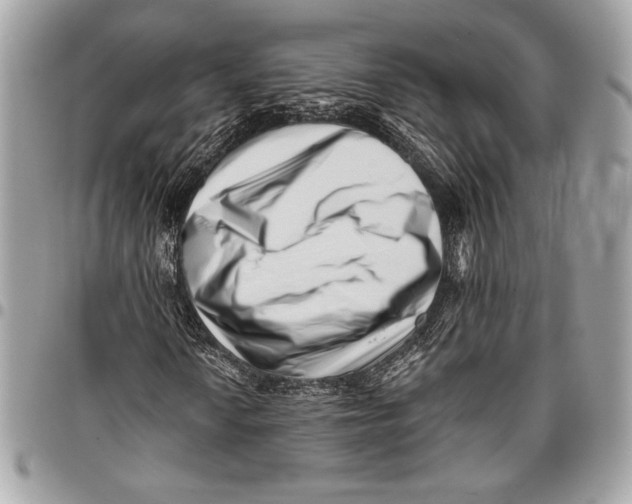 X0000096131010200802081320