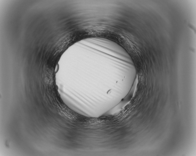 X0000096131012200802081320