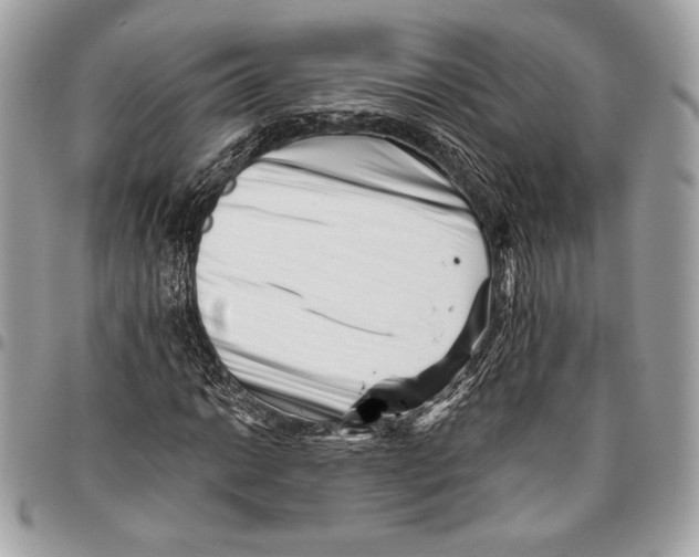 X0000096131014200802081320